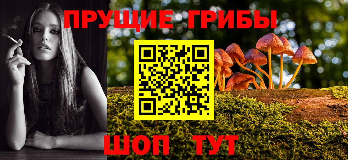 Псилоцибиновые грибы Magic Shrooms  Псилоцибиновые грибы MAGIC MUSHROOMS  Ртищево  Вход с VPN 