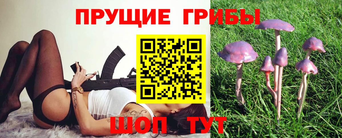 Галлюциногенные грибы прущие грибы Ртищево